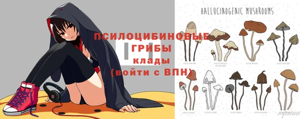 каннабис Аркадак