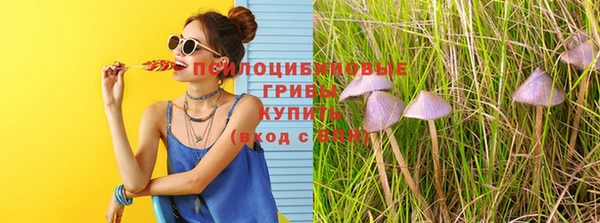 крисы Армянск