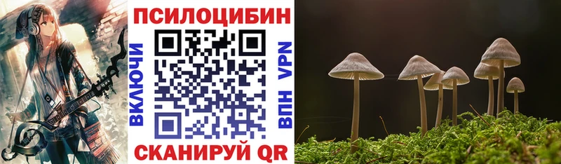 МЕГА tor  Саянск  Псилоцибиновые грибы MAGIC MUSHROOMS 