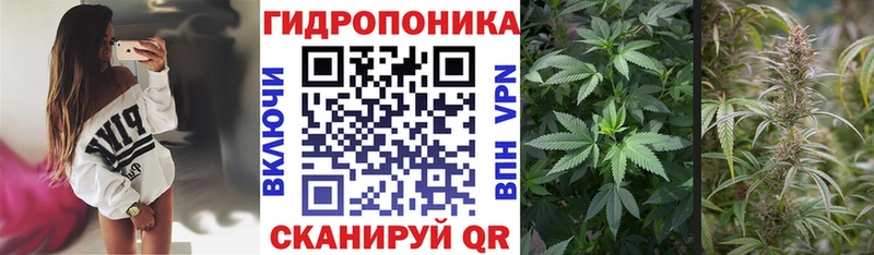 Шишки марихуана индика  продажа наркотиков  Саянск 